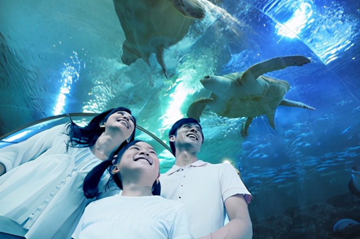 海洋馆水处理,海洋馆水质改造,水处理滤料