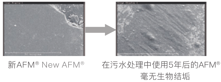 AFM滤料,AFM活性滤料