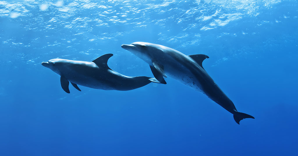 水族馆规划设计方案